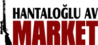 logo img